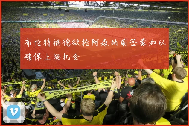 布伦特福德欲抢阿森纳前签蒙加以确保上场机会