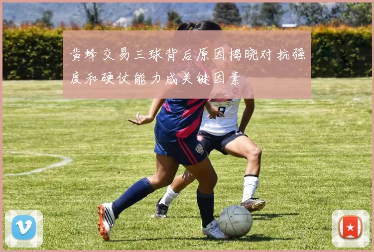 黄蜂交易三球背后原因揭晓对抗强度和硬仗能力成关键因素